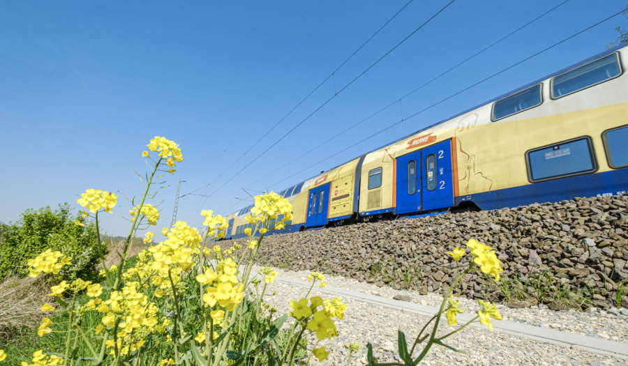 Wieso brennt die Böschung? 