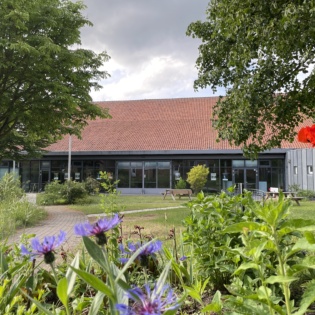 Ihof mit Bluehwiese 