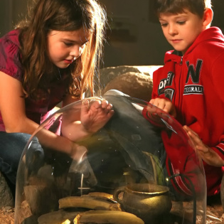 AMH Kinder Ausstellung klein 