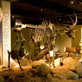Archaeologische Ausstellung 1 