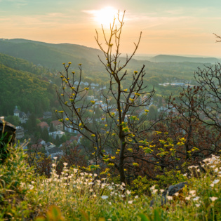 Draufsicht Bad Harzburg Burgberg Best Mountain Artists 