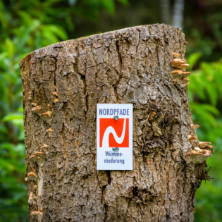 NP Markierungszeichen unverlaufbares Wandern Bjoern Wengler ccby SA DSC 9294 