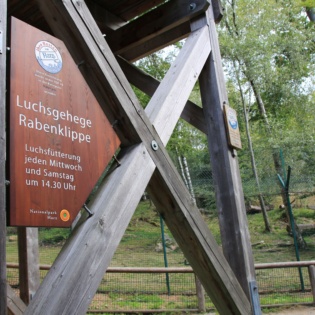 Nationalpark Harz Luchsgehege Rabenklippe Mandy Gebara 3500px 