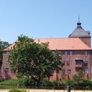 Schloss Winsen Sommer Baum by Bianka Derboven 