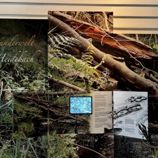 Eschede naturparkinformationszentrum ccbysa eb 20221103 22 