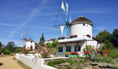 Gifhorn | Mühlenmuseum 