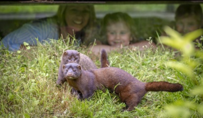 Hankensbüttel | Otter-Zentrum 