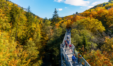 Herbst Franzi Poenisch 3 